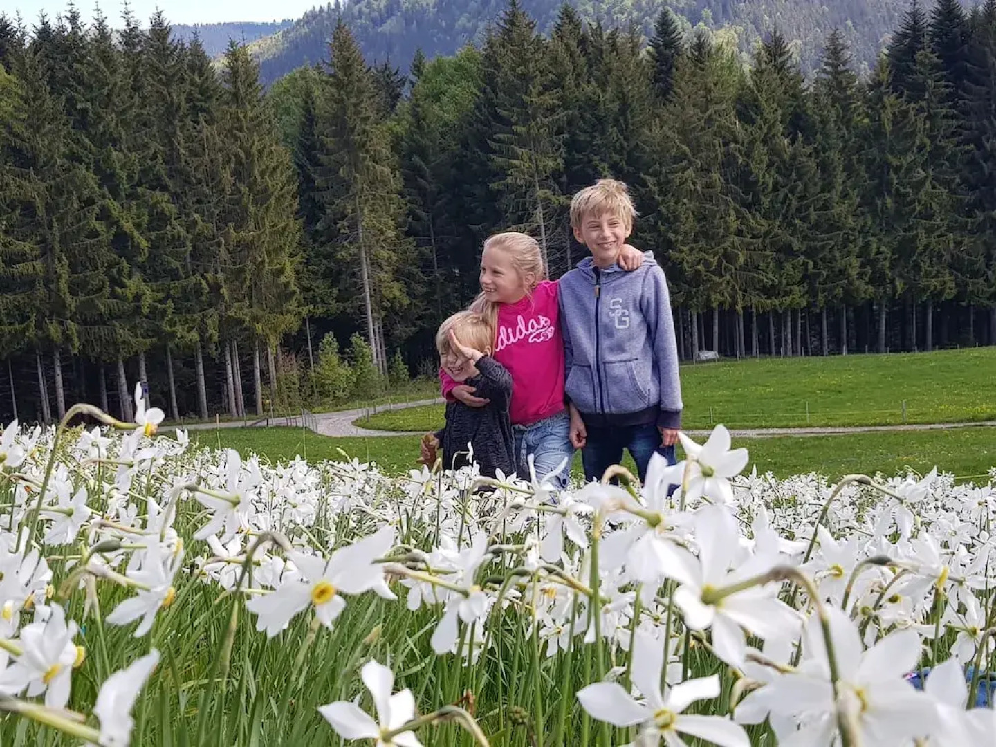 Montreux holiday home