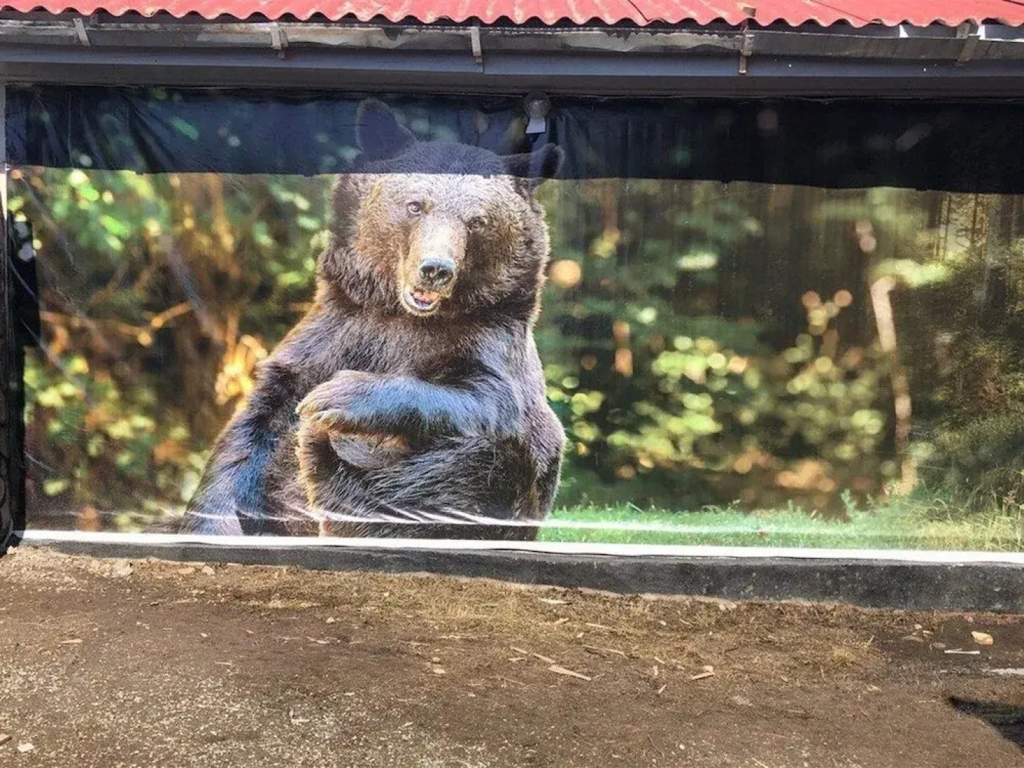 Хостел «Арго»