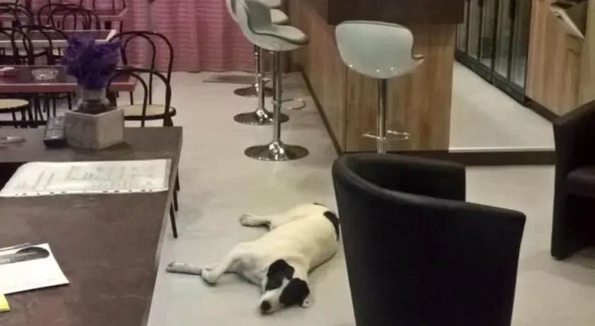 Hôtel Restaurant du Bearn