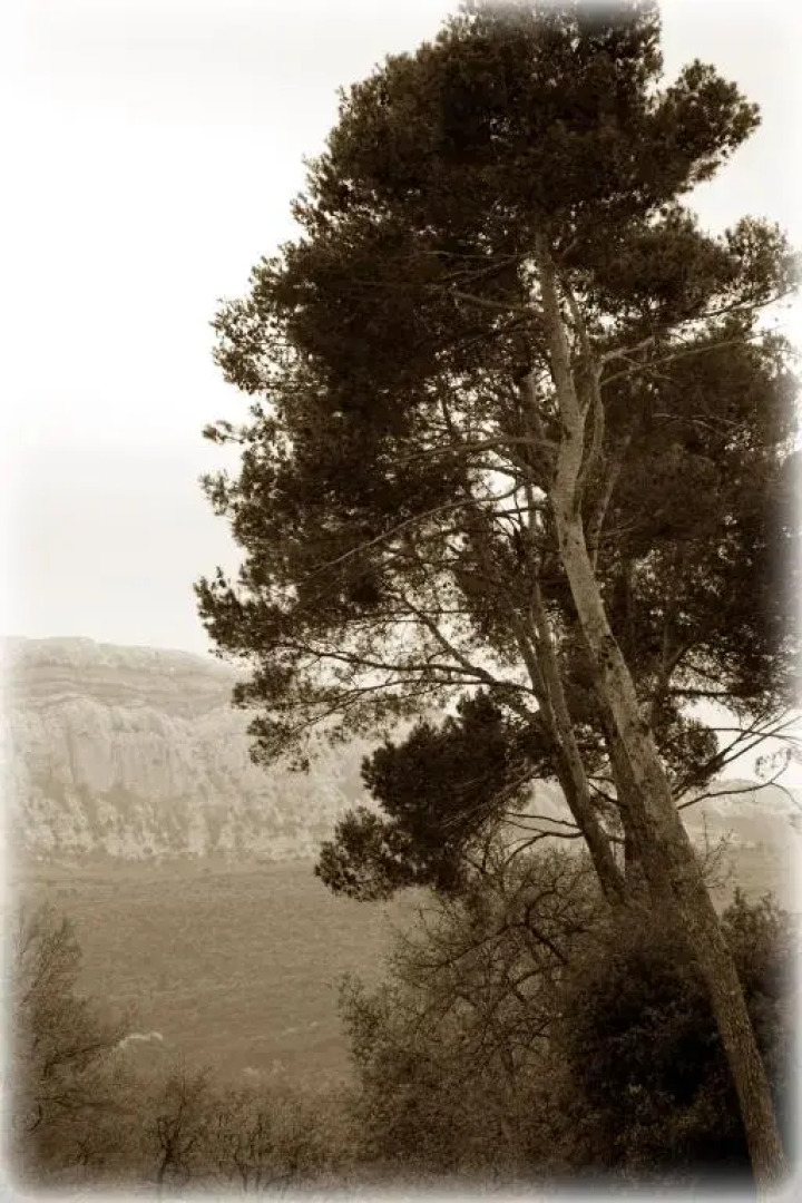 Chez Elles En Provence