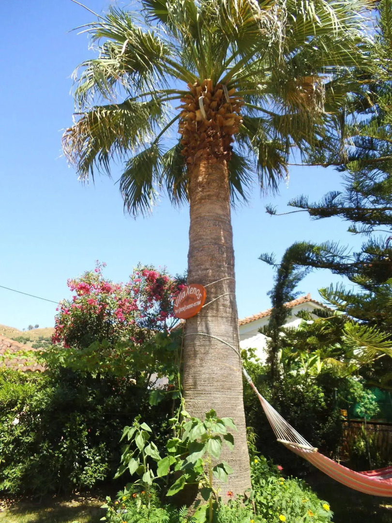 Villa Xenos Studios & Apartments