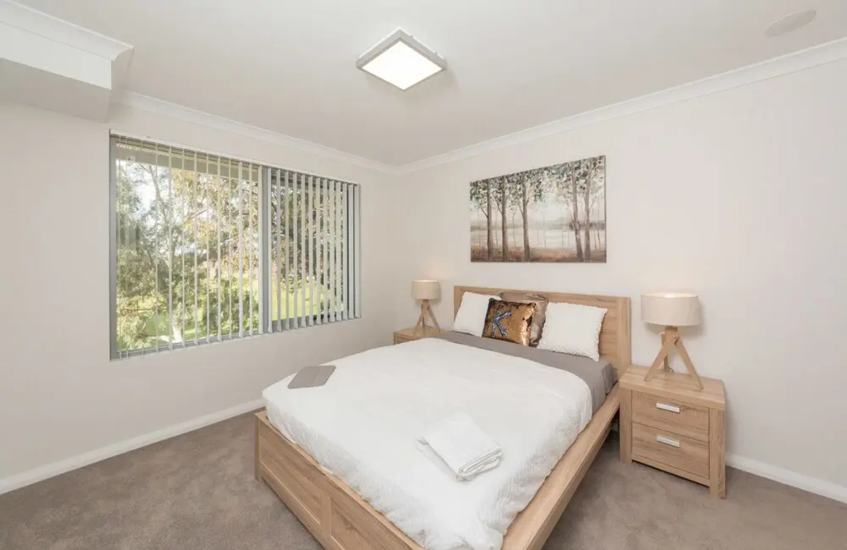 Lakeview Apartment Suite 19