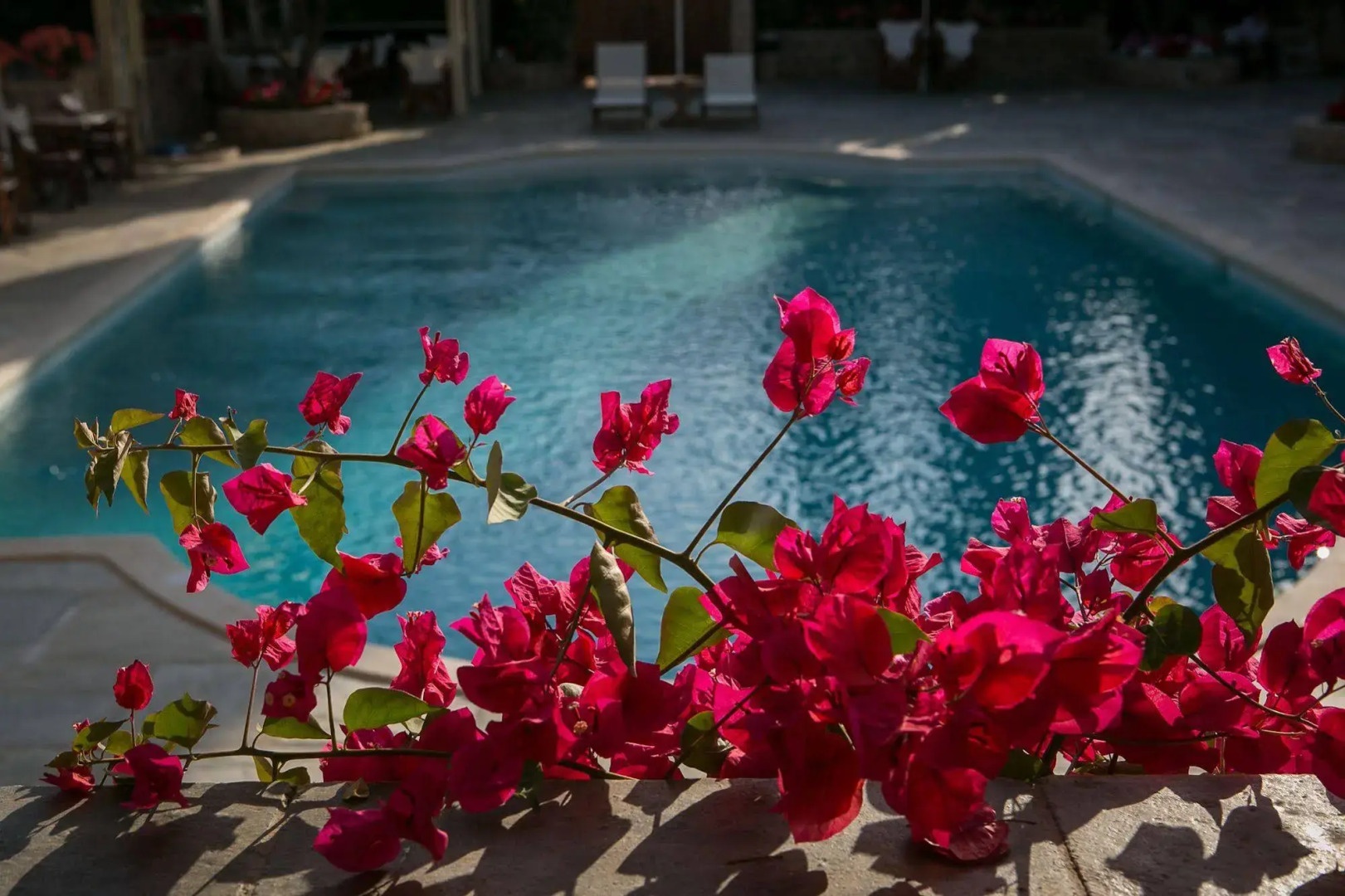 Villa Nika spetses Hotel