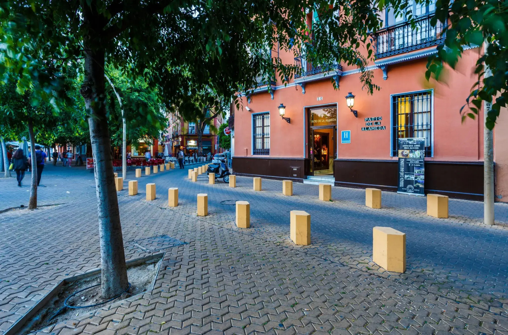 Hotel Patio de la Alameda