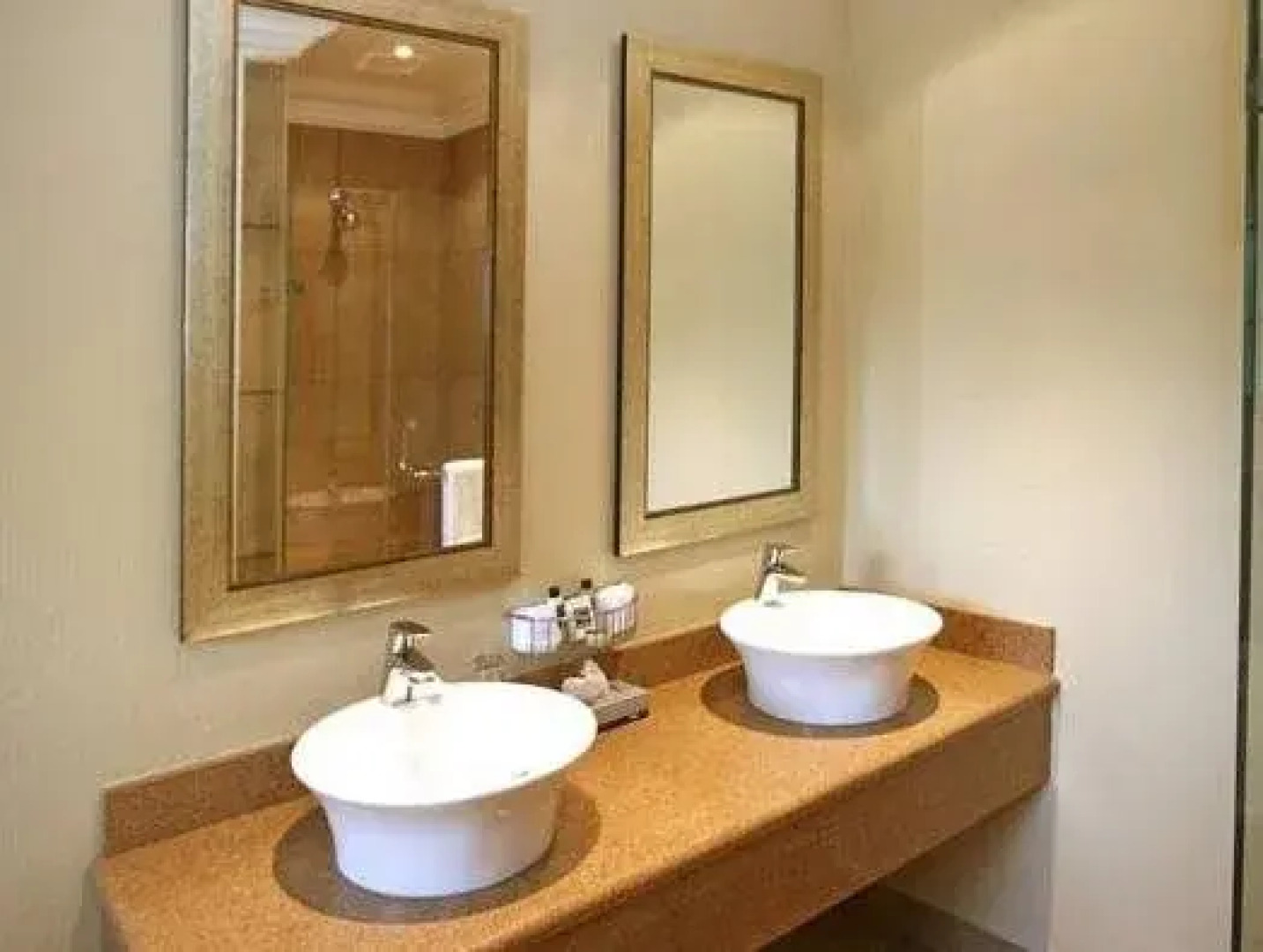 Champagne Castle Hotel