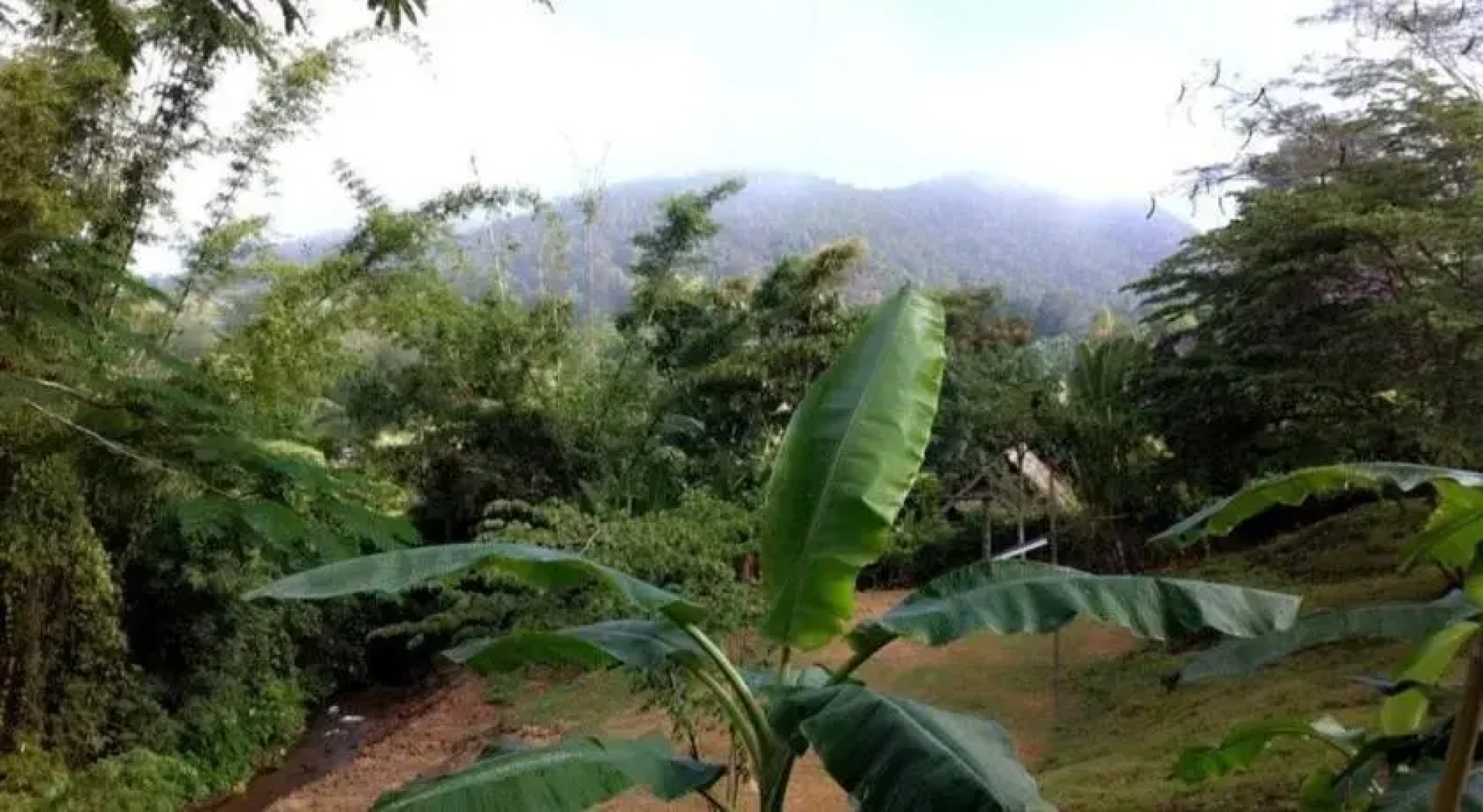 Chang Pai by John Bamboo Hut