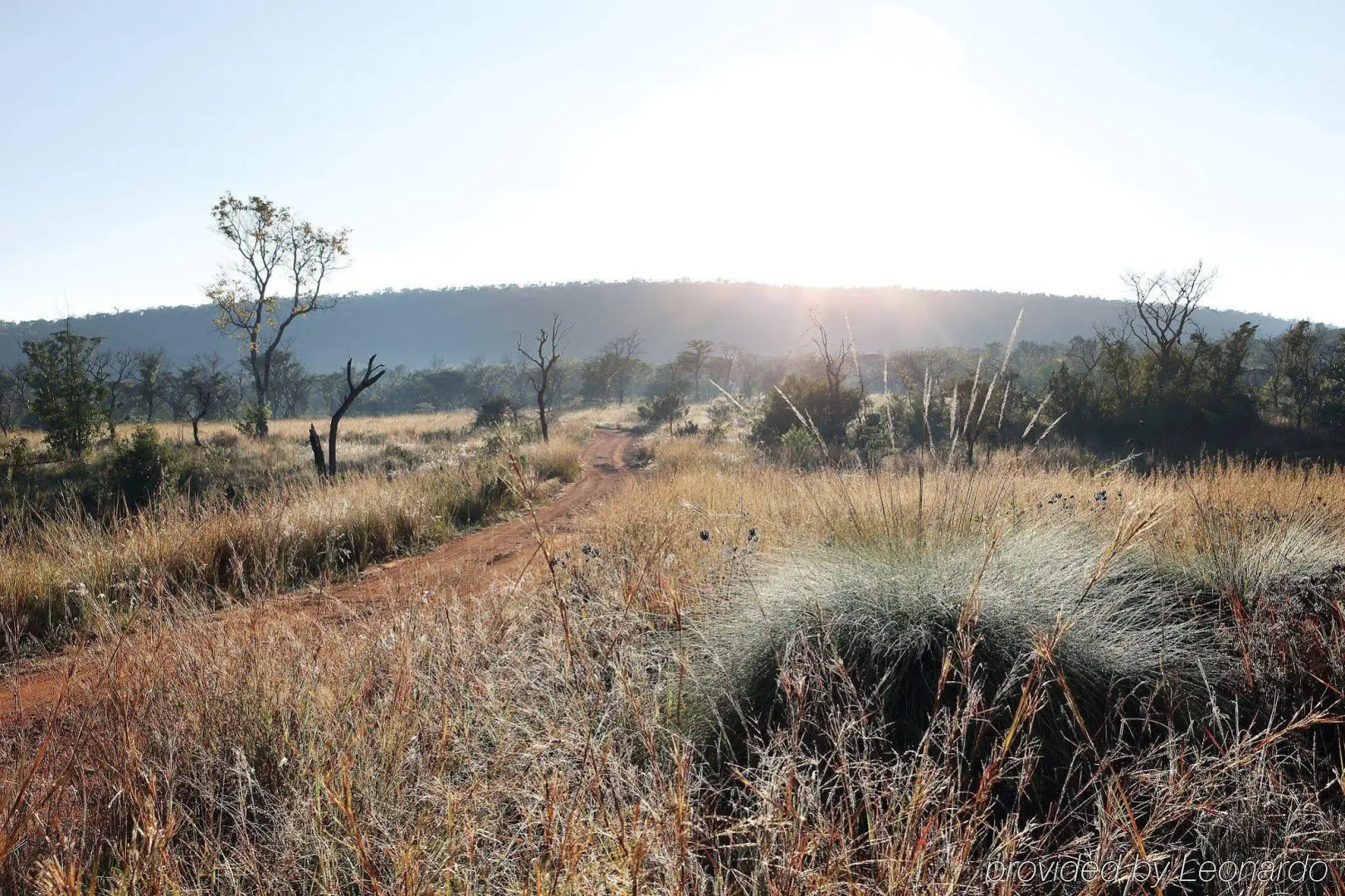 Zulu Camp at Shambala Private Game Reserve