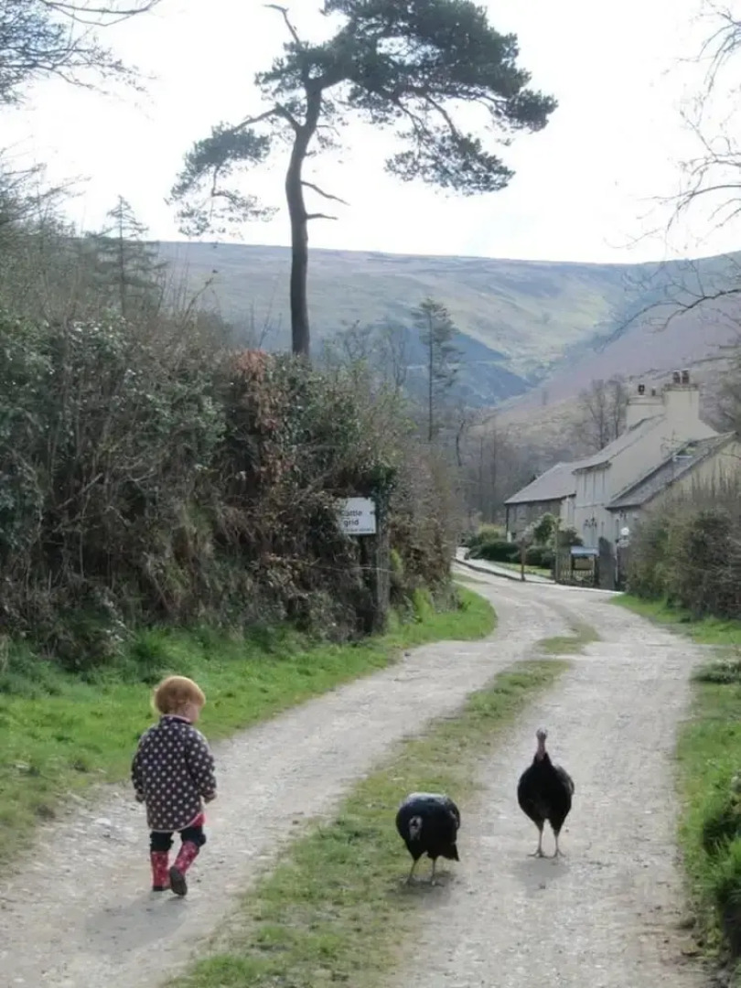 The Mill House at Cwmiar Farm - Relaxing Holidays