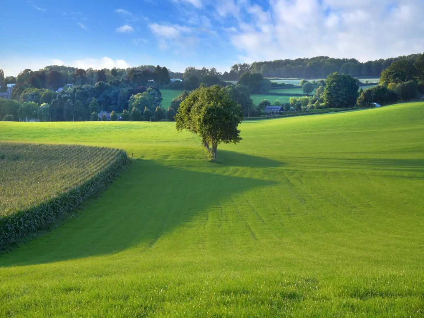Comfy Holiday Home near Forest in Slenaken