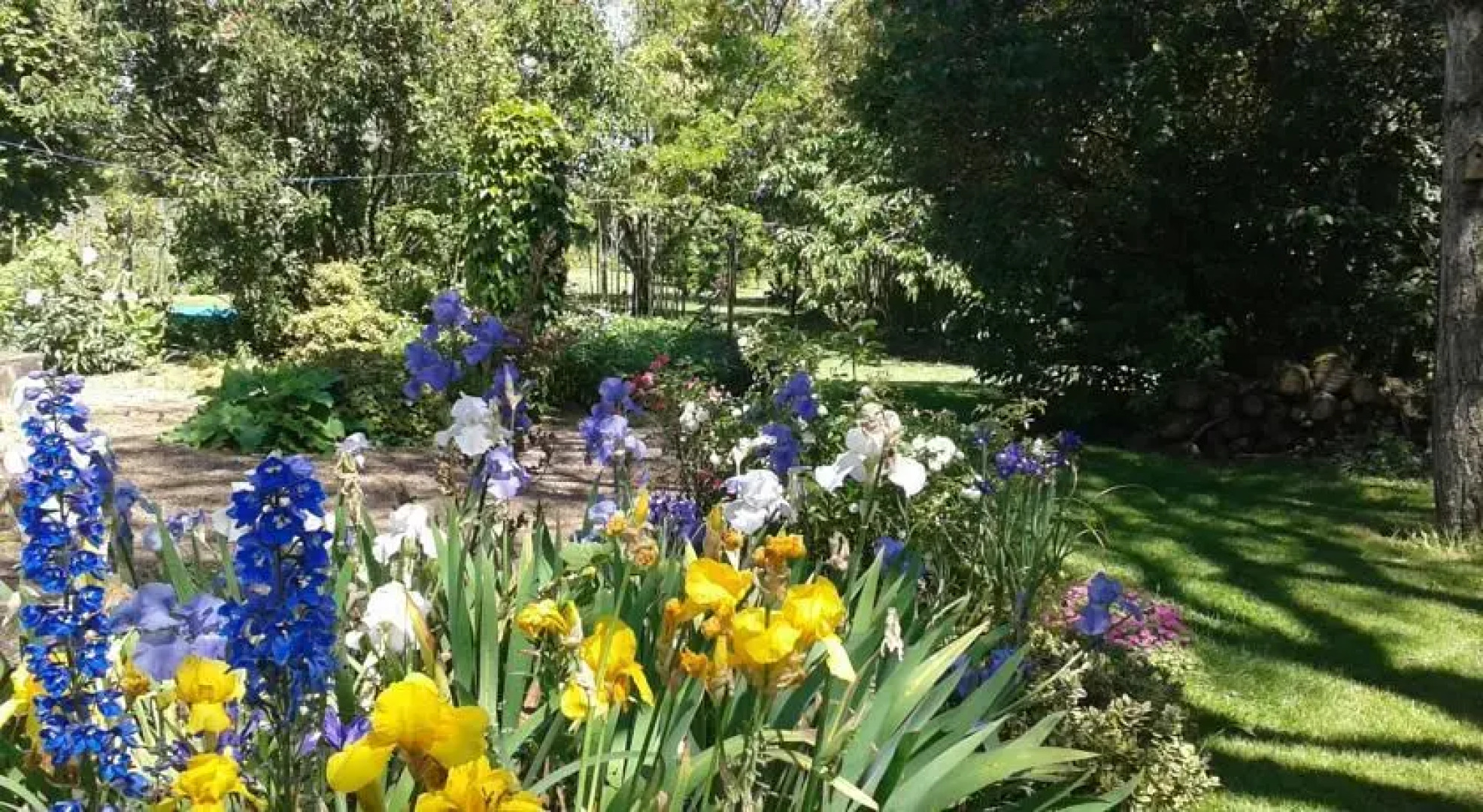Gîte Bouquet de vie
