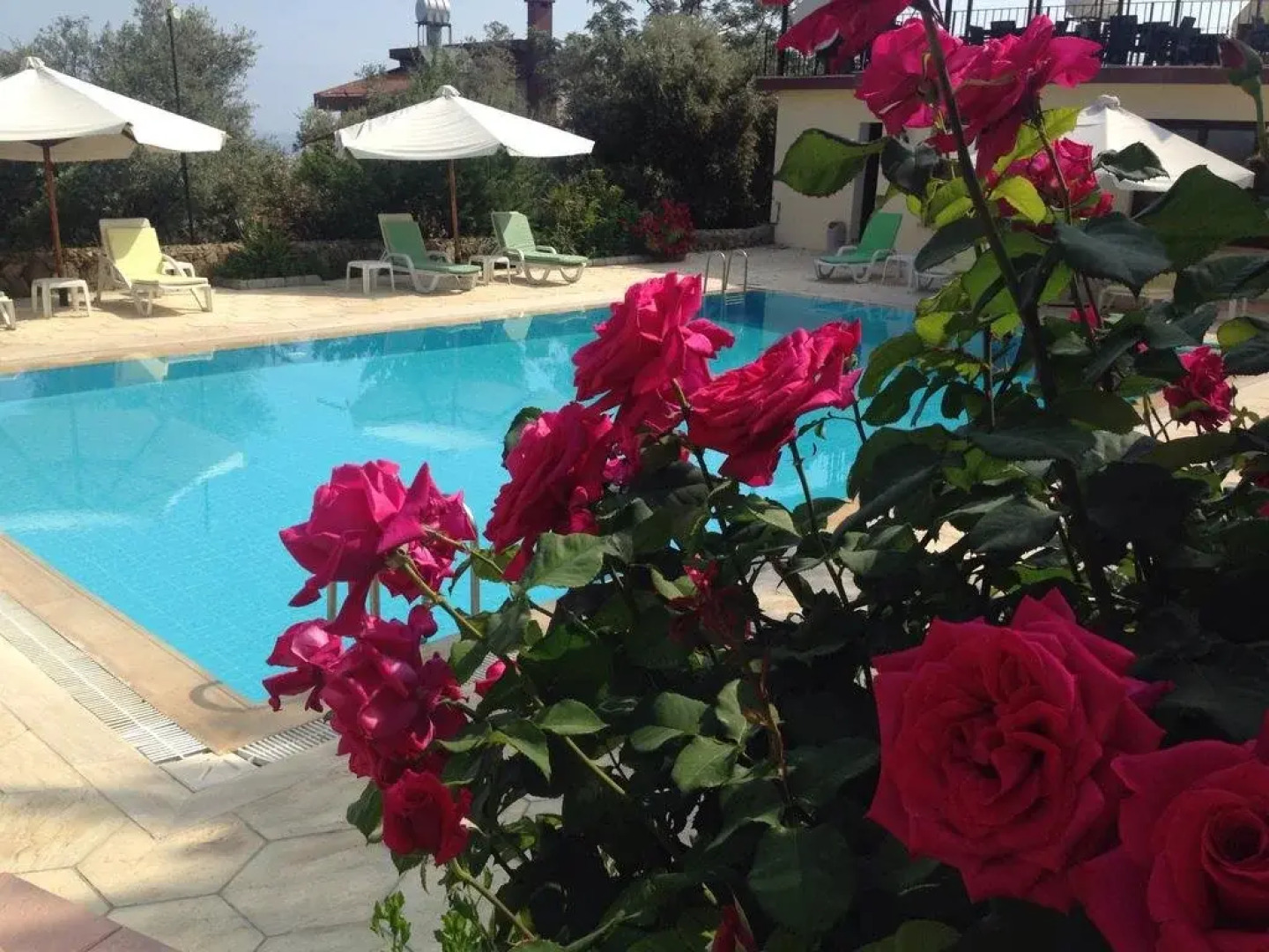 Five Fingers Holiday Bungalows