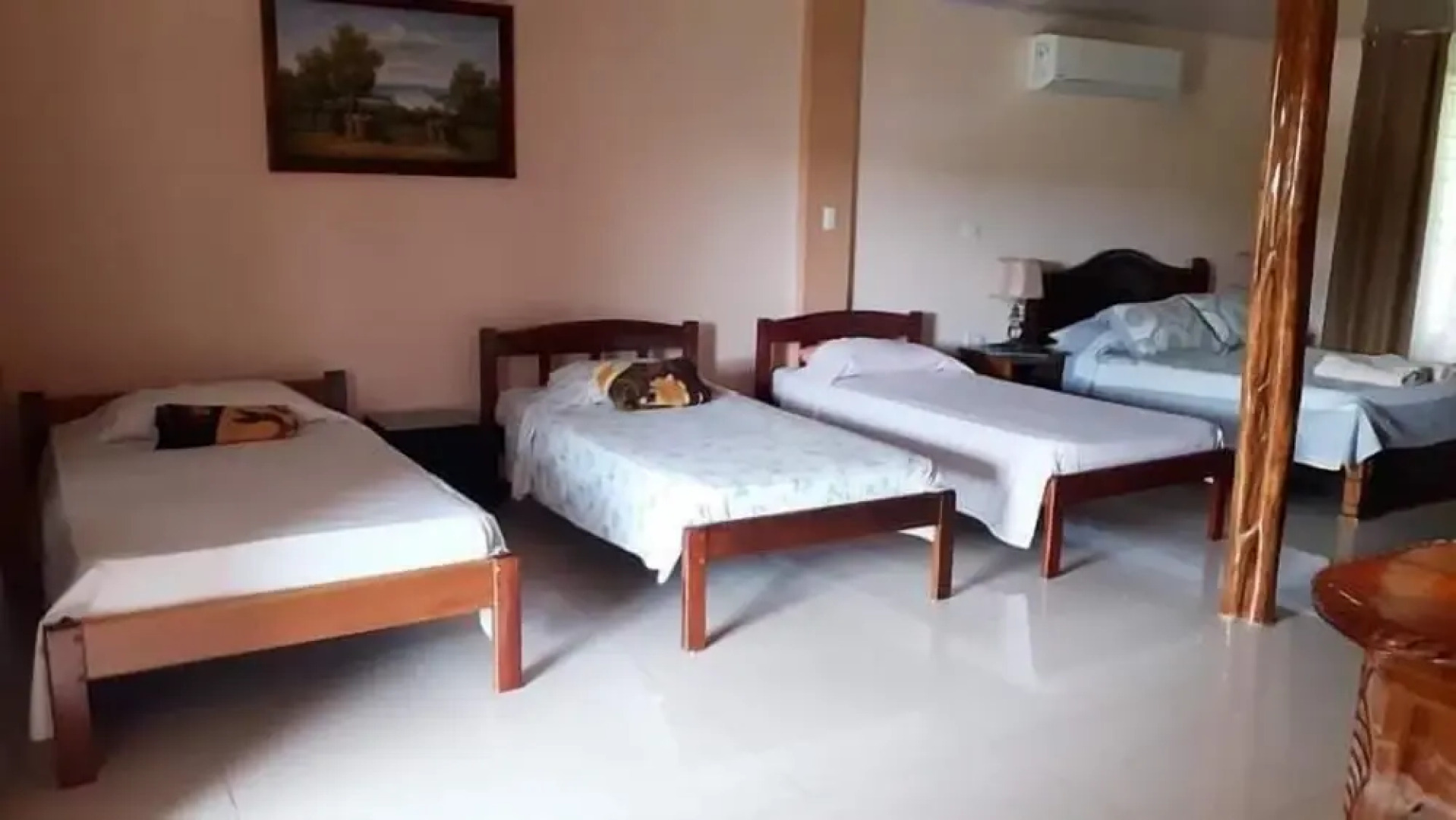 Ocean and forest view Manolo Cabins