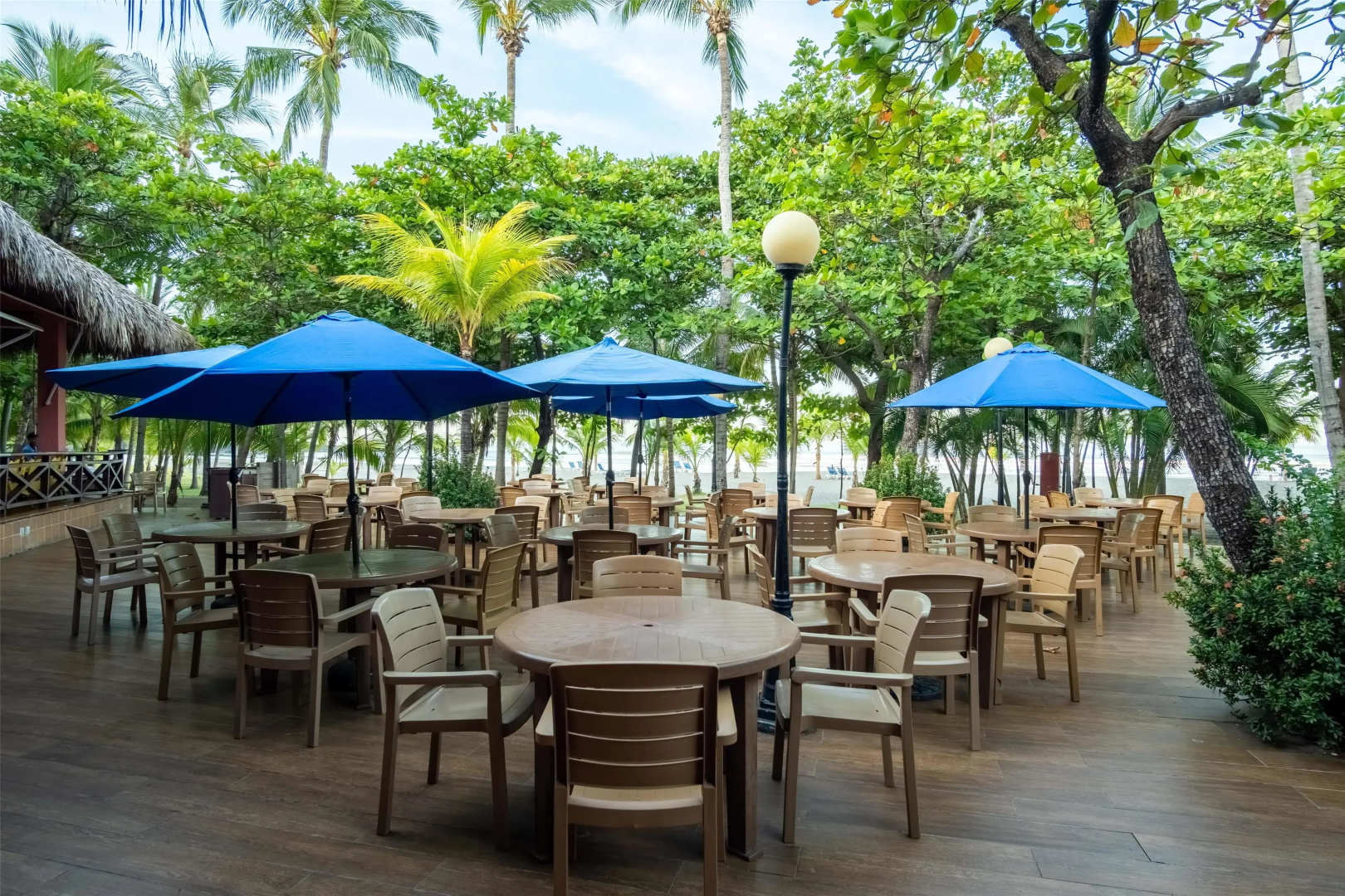 Barceló Montelimar - All Inclusive