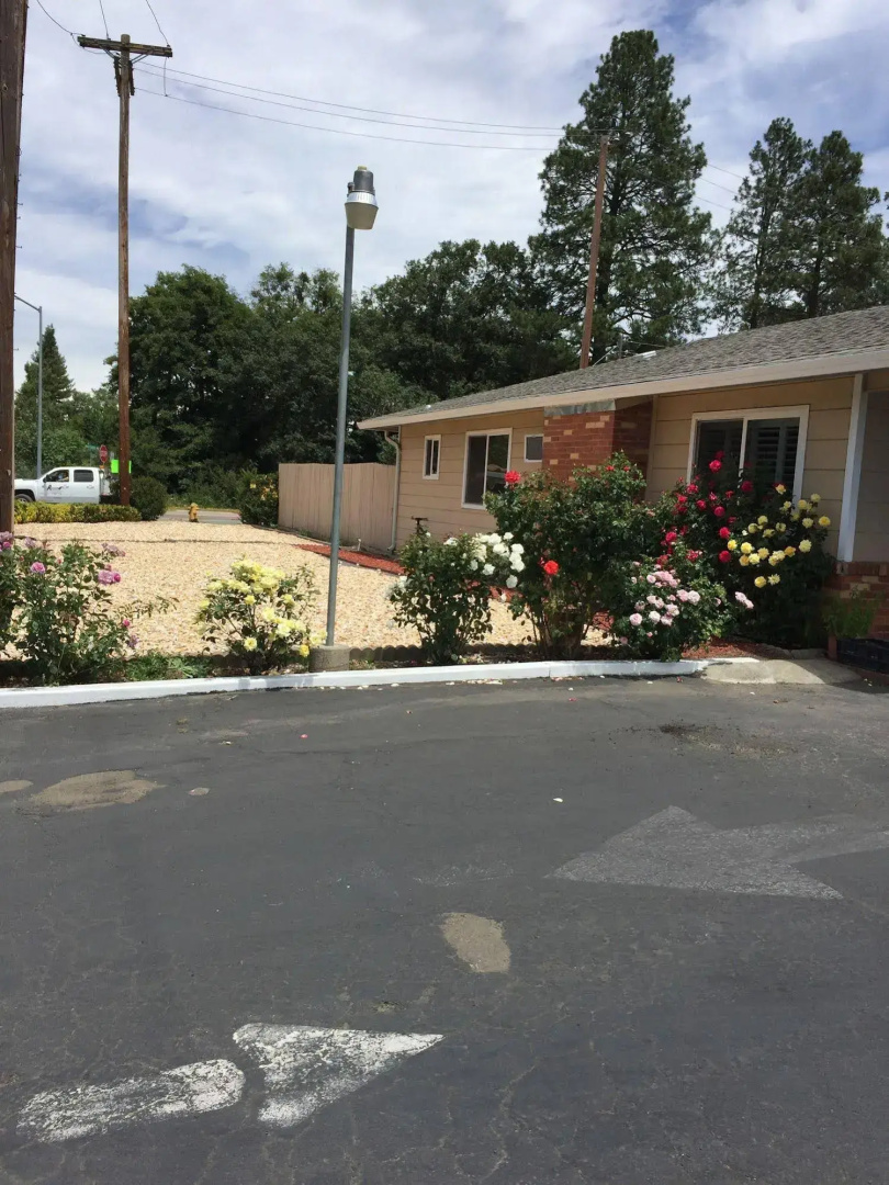 Lark Motel