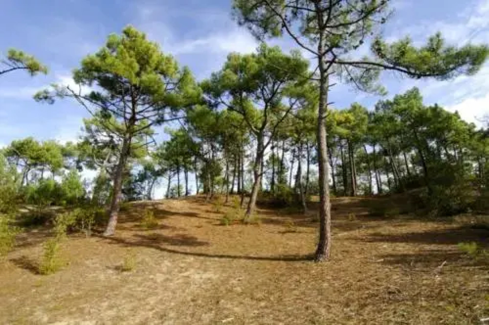 Appartement vue mer Sion-sur-l'Océan