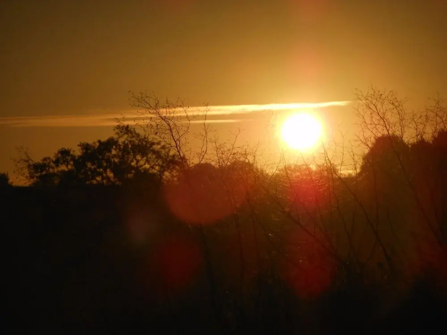 Chambre D'hôtes La Basse Gougeonnière