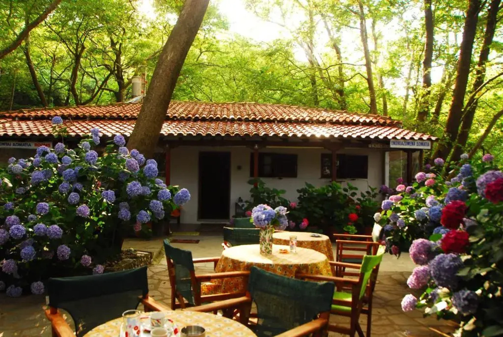 Tasoula Parselia Studios