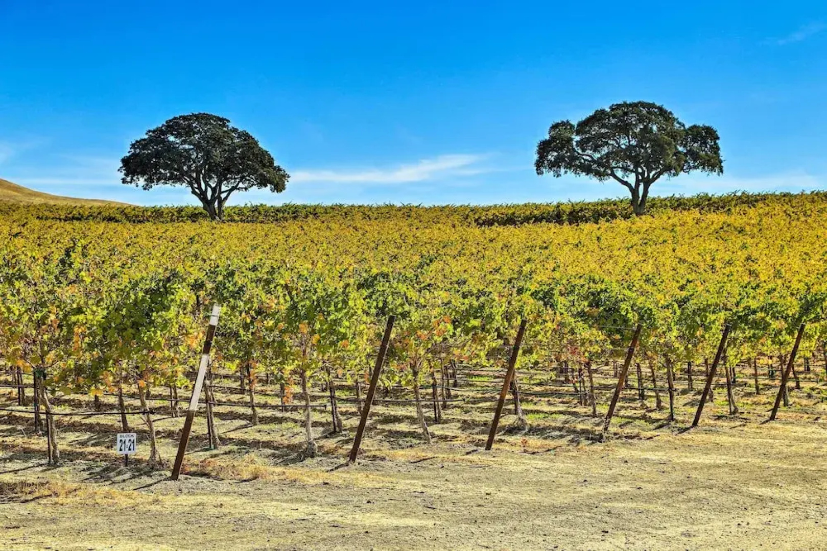 Pleasant Valley Wine Trail Home - Near Paso Robles