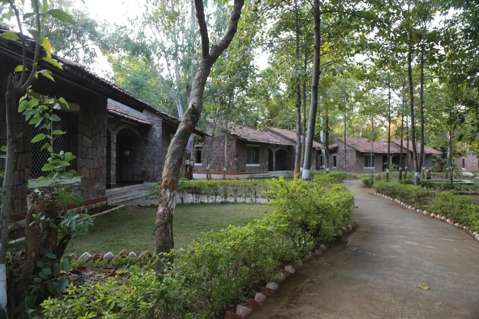 Mogli Jungle Resort