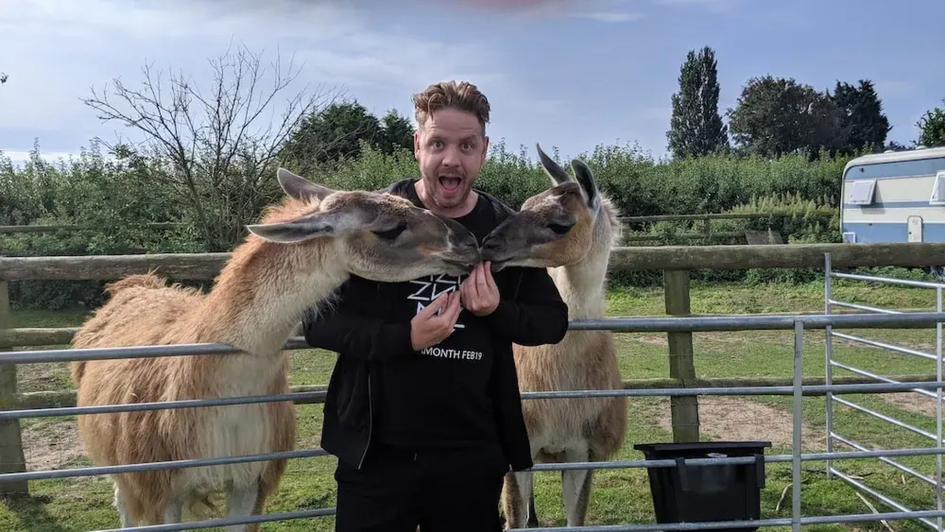 Glamping With Llamas