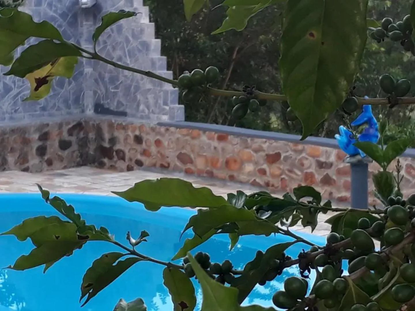 Pousada Café do Brejo