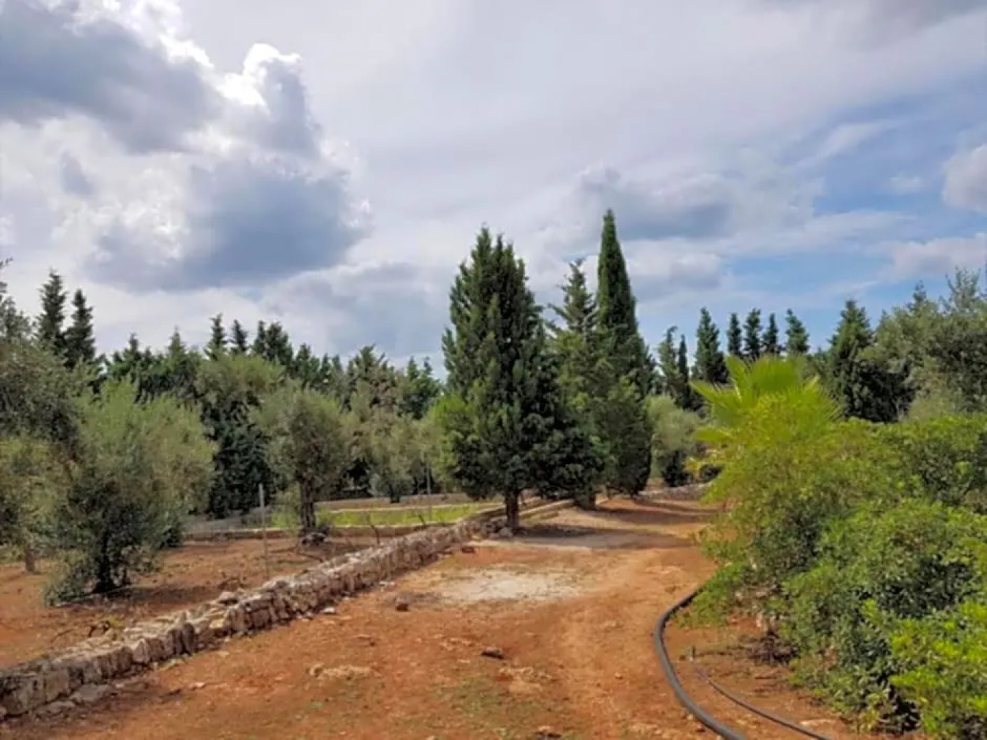 Masseria Nova Isola Verde