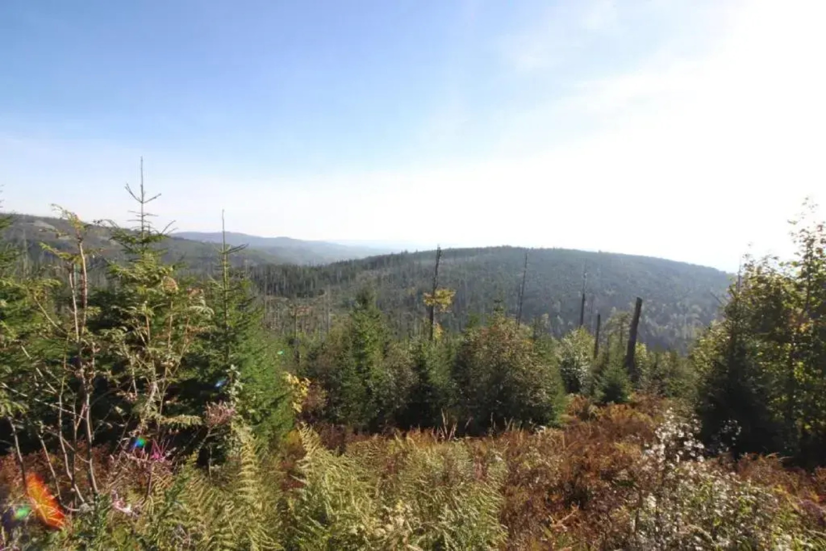 Gästehaus Schreiner