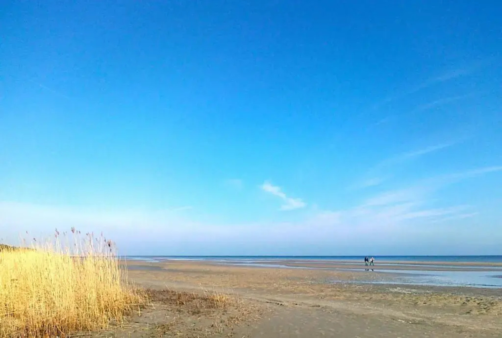 Dünenresidenz Karlshagen - Ferienwohnung Lindenweg 8b