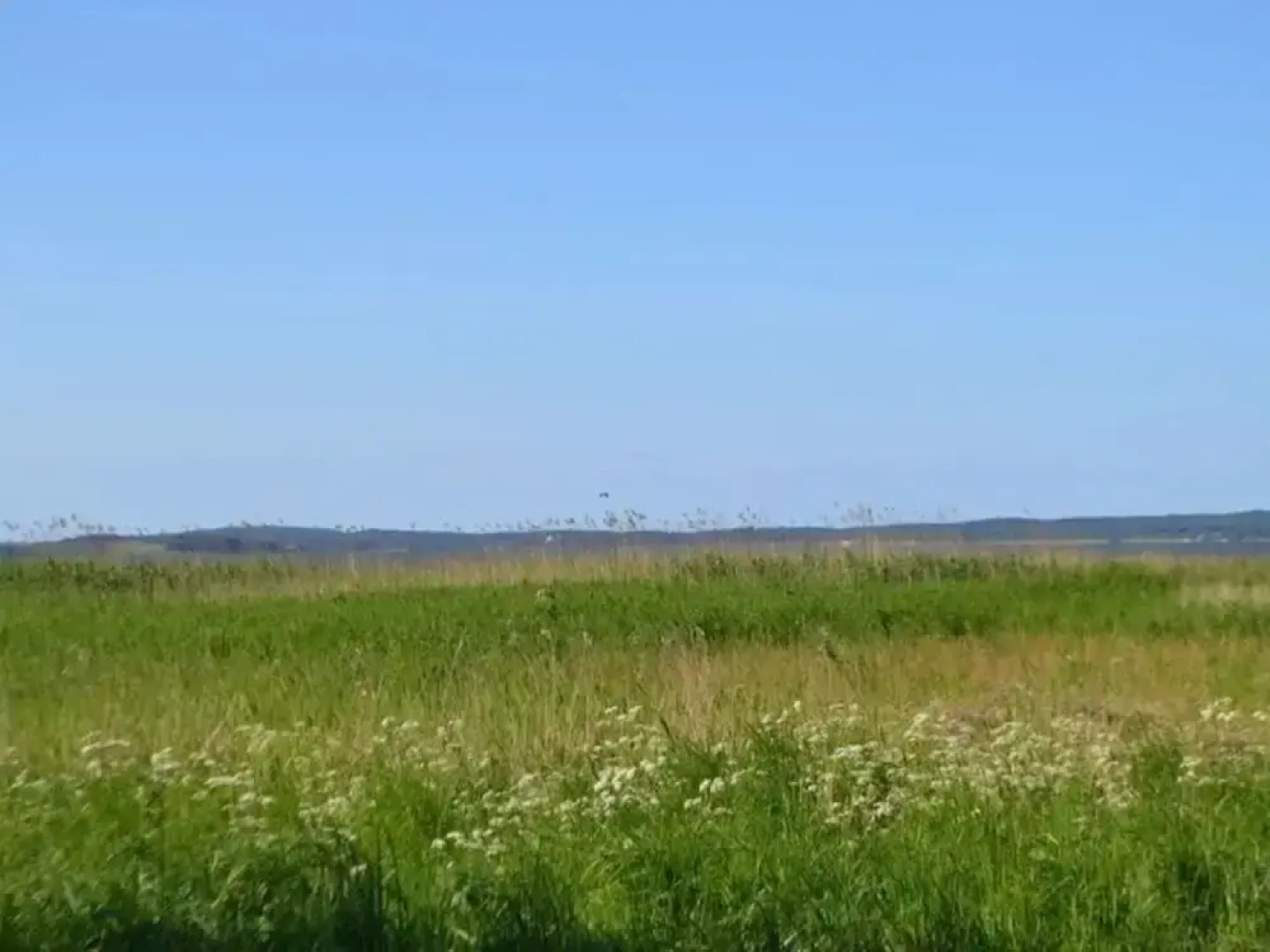 Residence on Lake Balmer