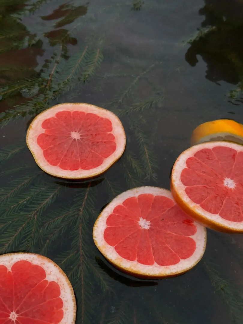 База отдыха Хохловка