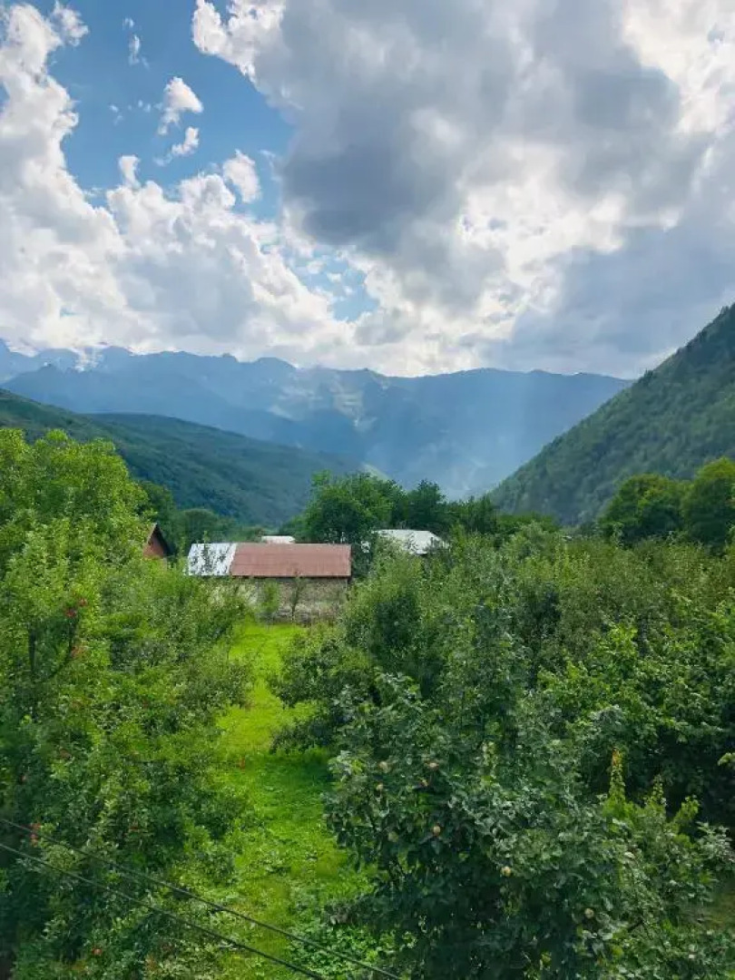 Guest House Vivaushba