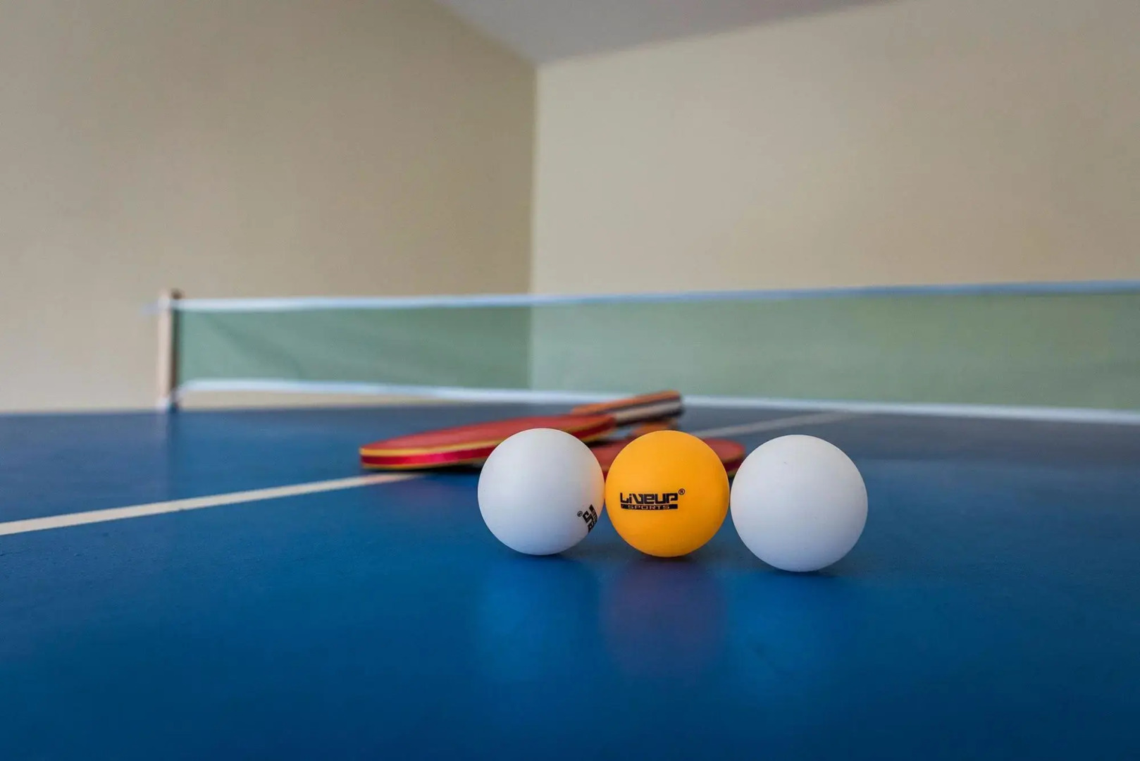 Villa Familia Chania