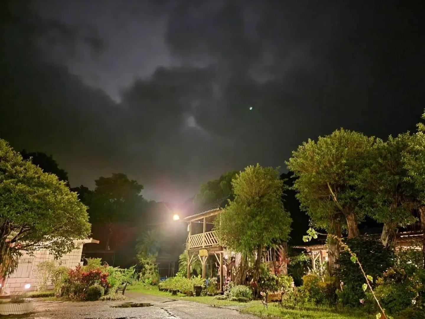 Taiwan Reishi Expert Bed and Breakfast