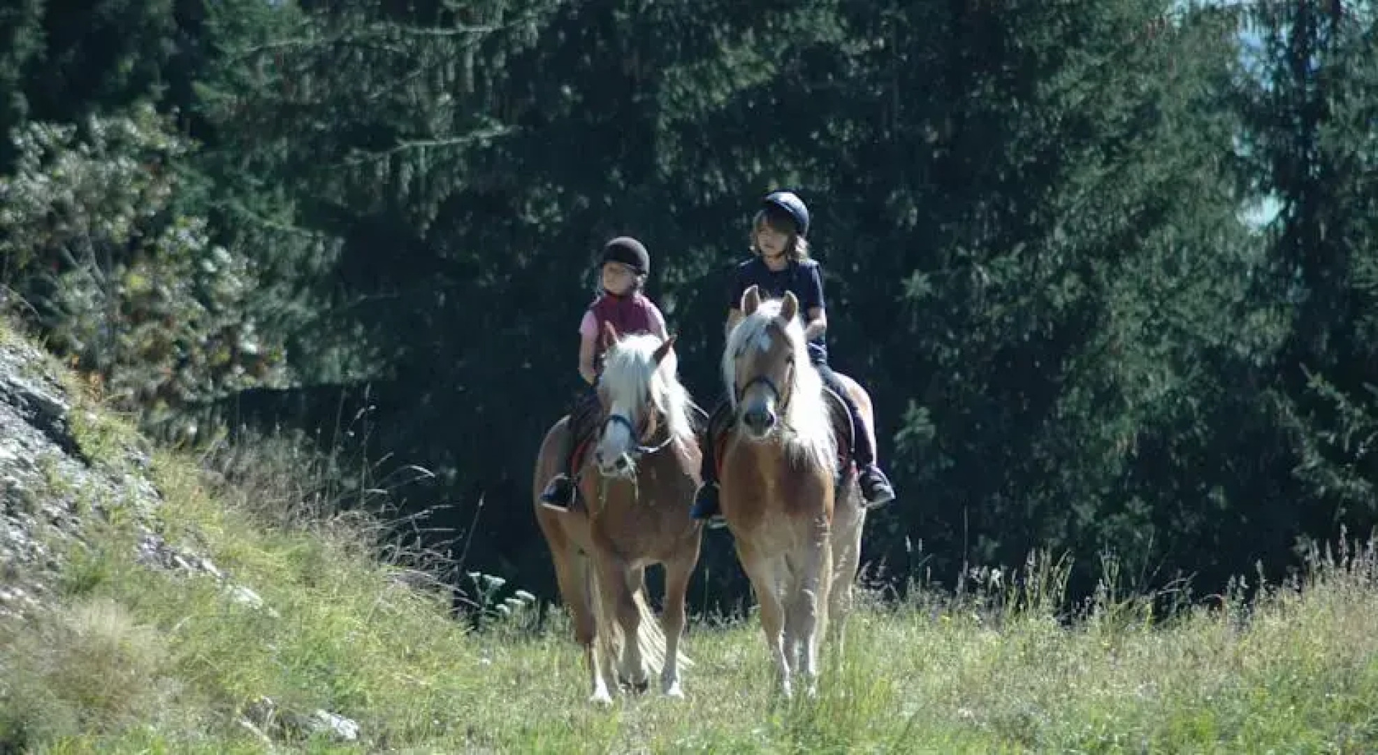 Knaller der Reiterbauernhof