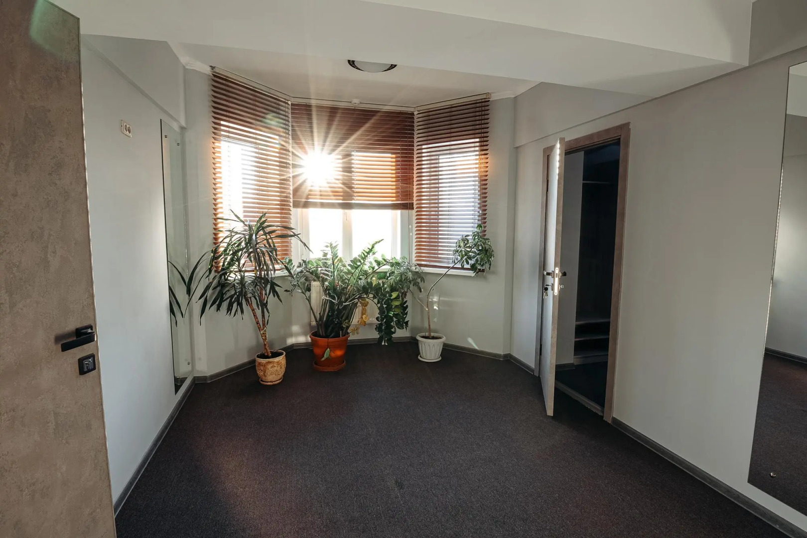 Red Street (Ред стрит)