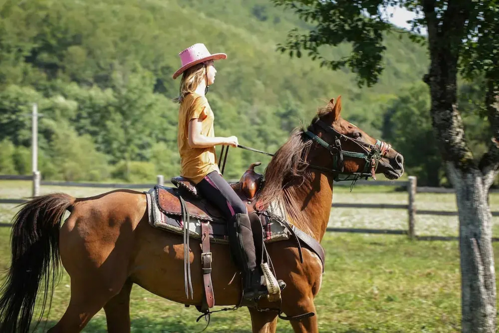 Linden Tree Retreat & Ranch