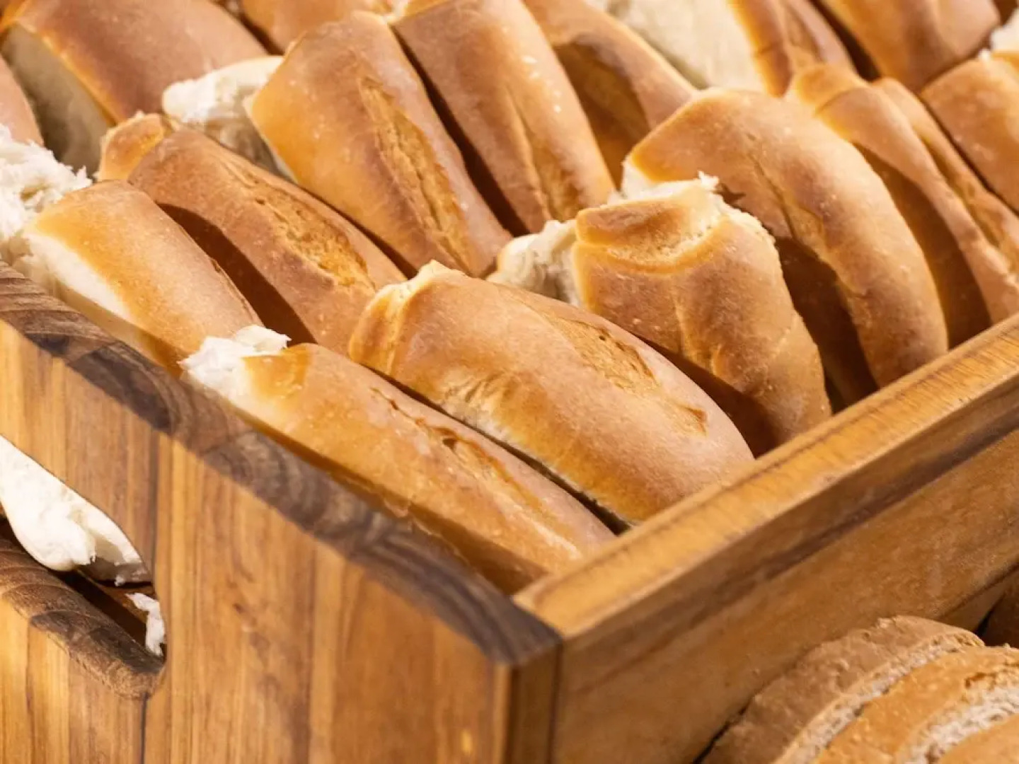 Ibis Barra Do Garcas