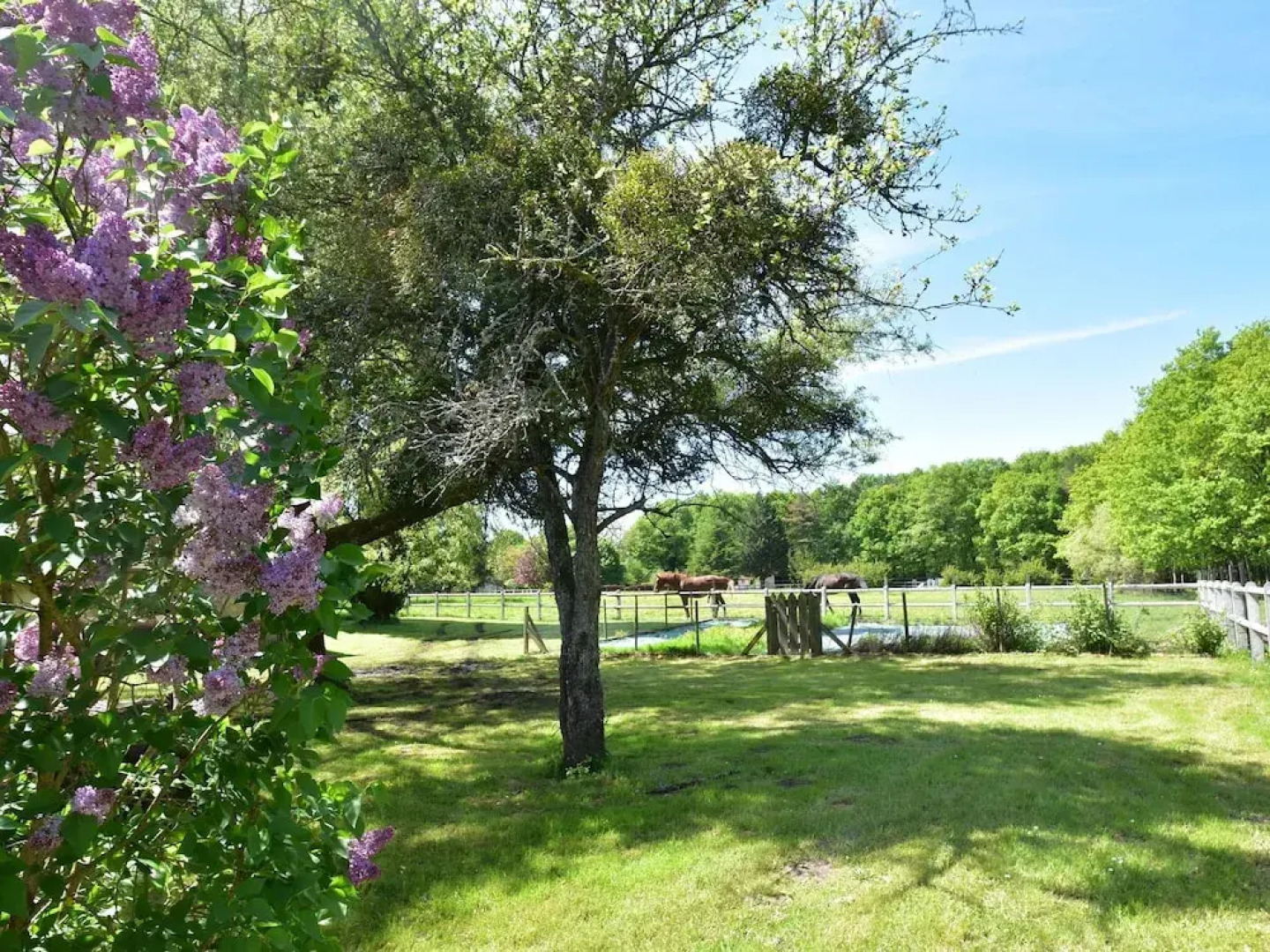 Unique Holiday Home With Pool in Combreux Centre