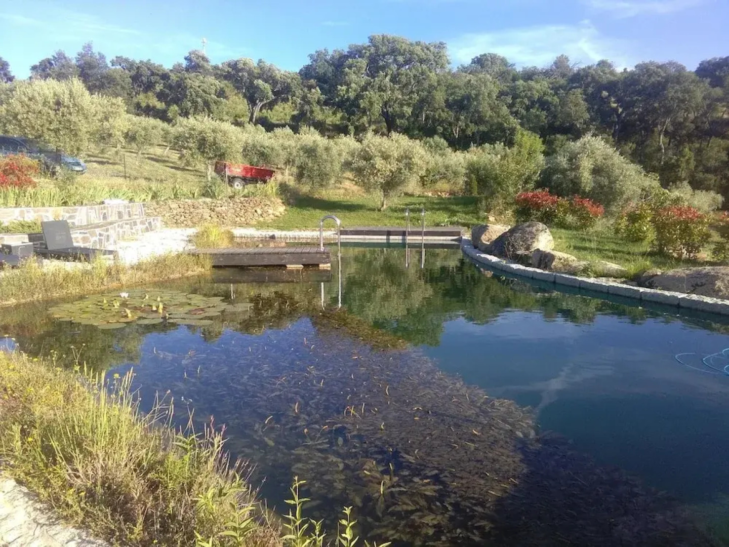 House With 3 Bedrooms in Macedo de Cavaleiros, With Enclosed Garden