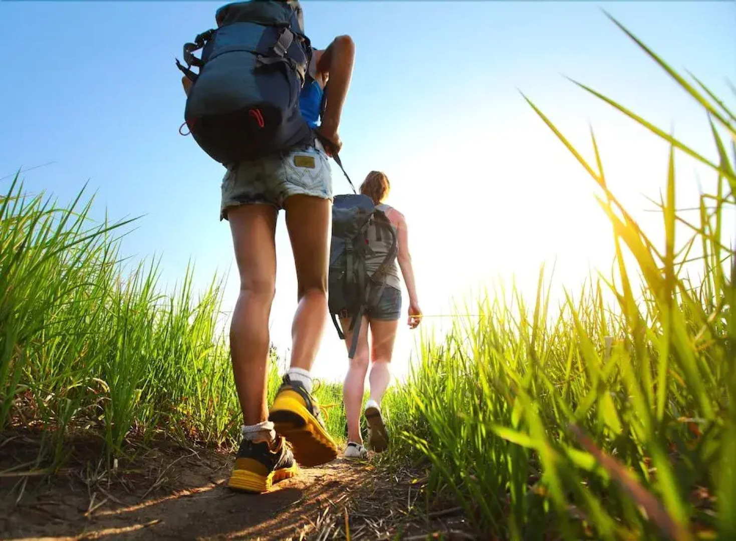 La Perezosa & Yoga - Hostel