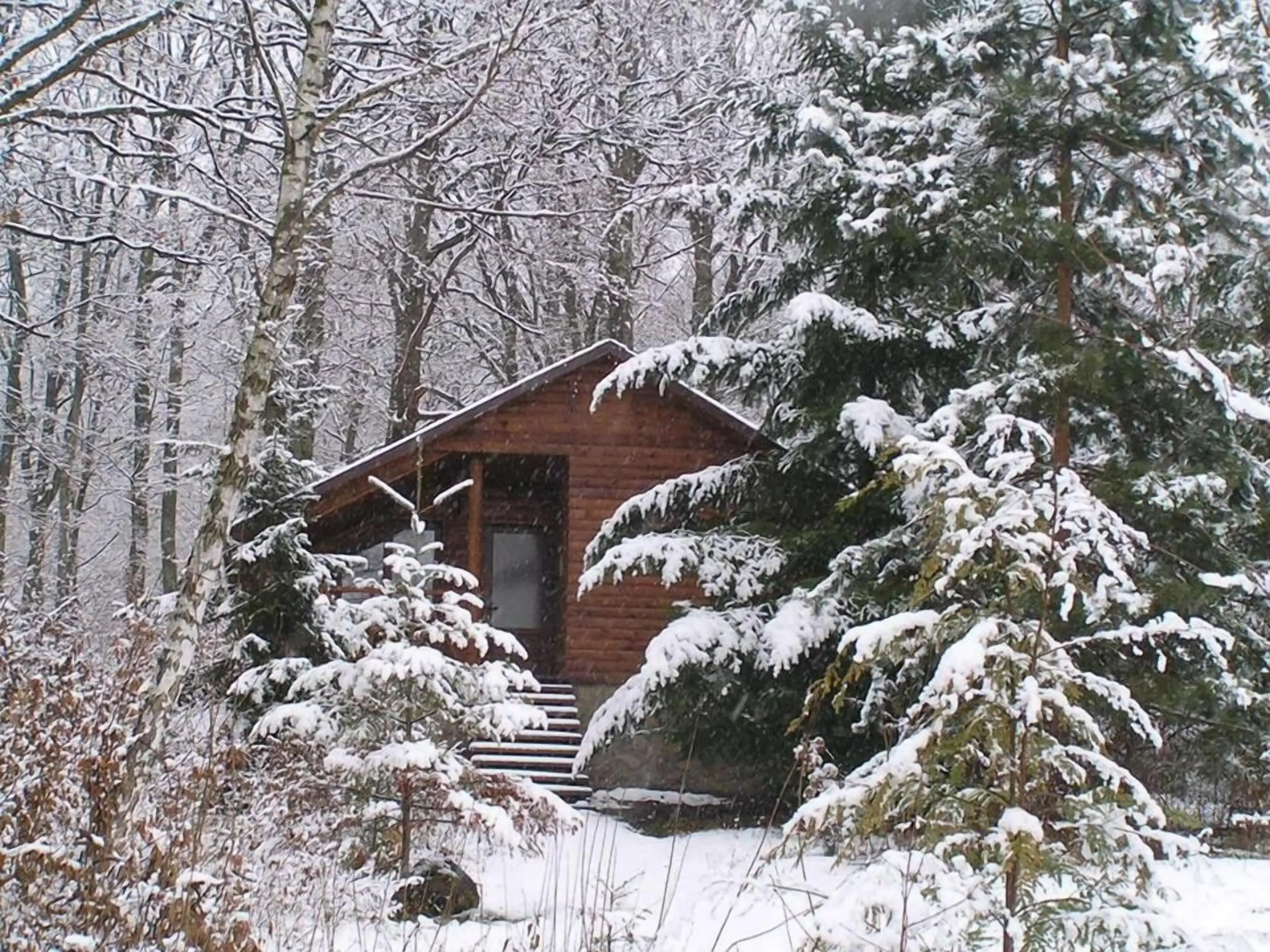 Отель «Дубки»