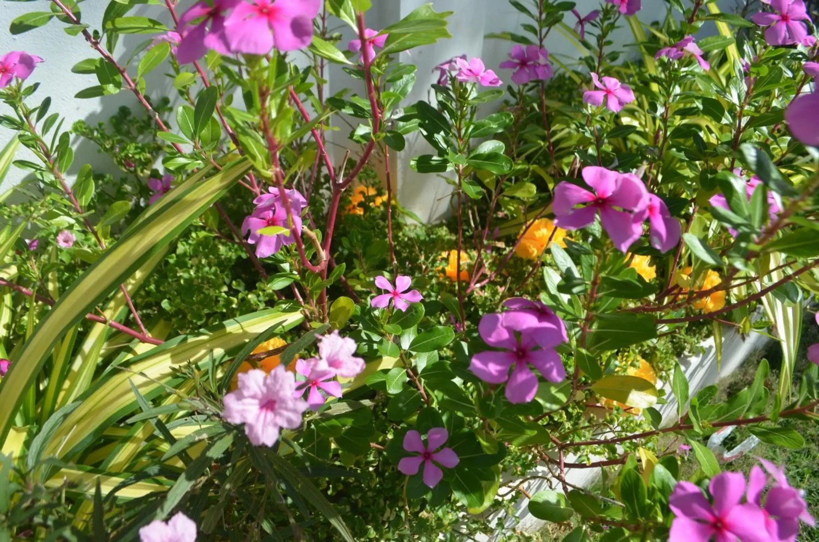 Thosawan Resort ทศวรรณ รีสอร์ท