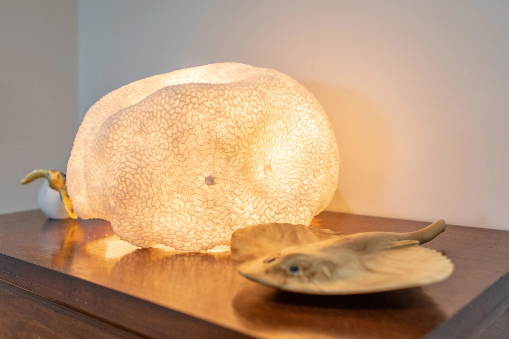 Whitsunday Organic Bed & Breakfast