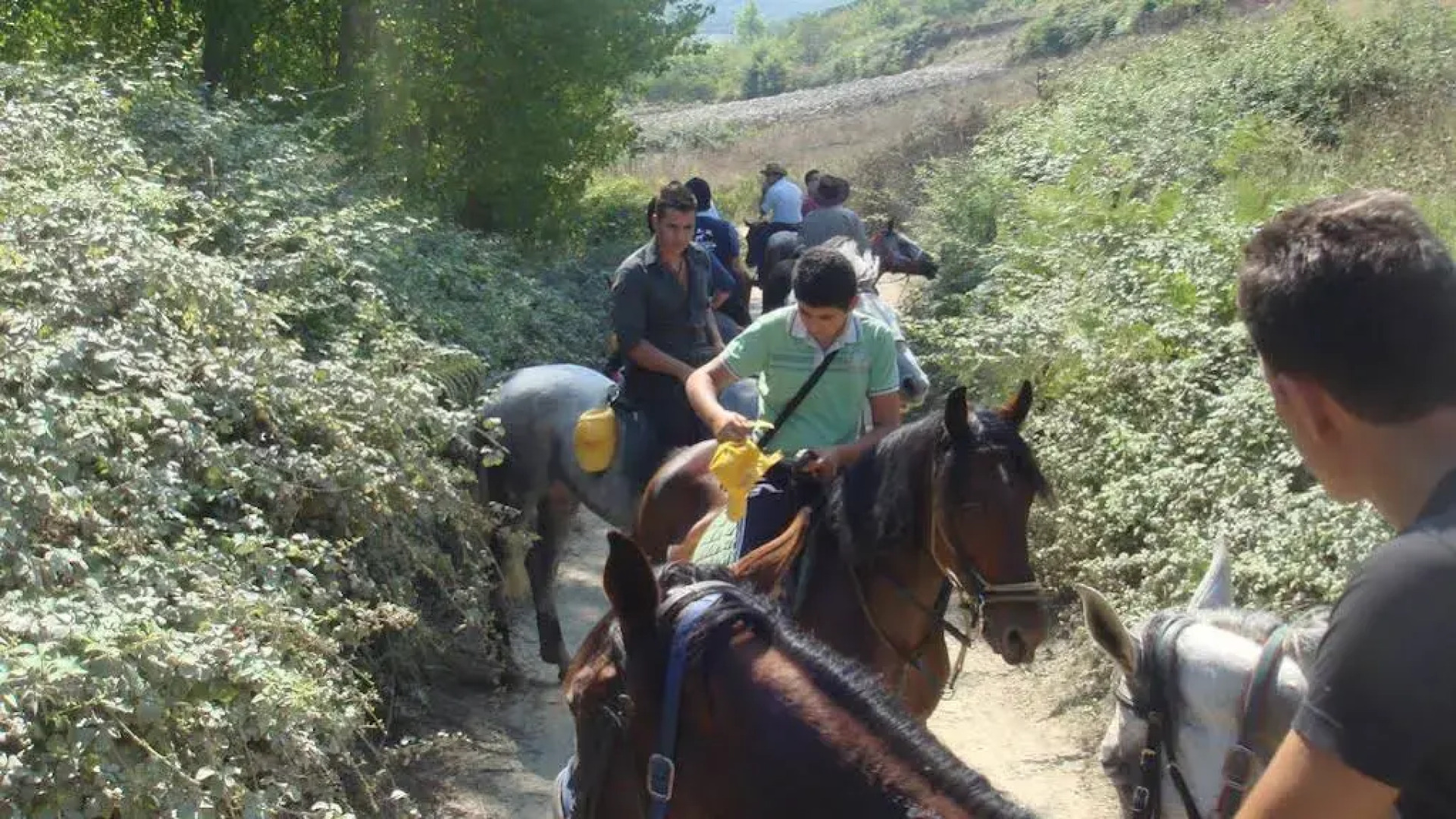 Azienda Agrituristica Masseria I Risi