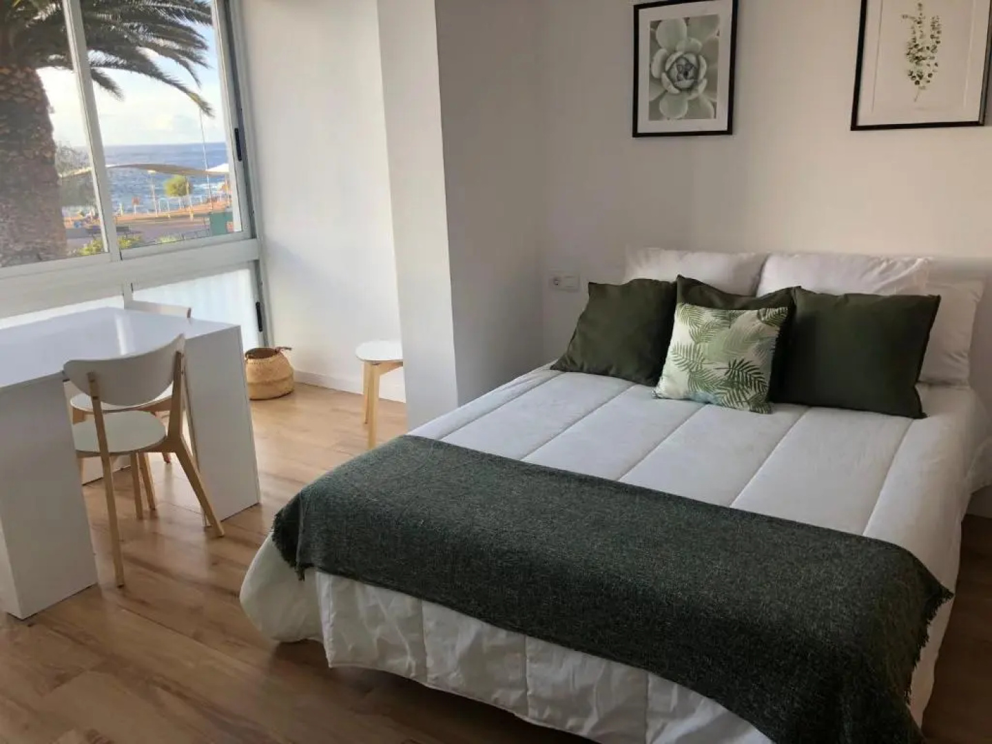 Green Coast Suite