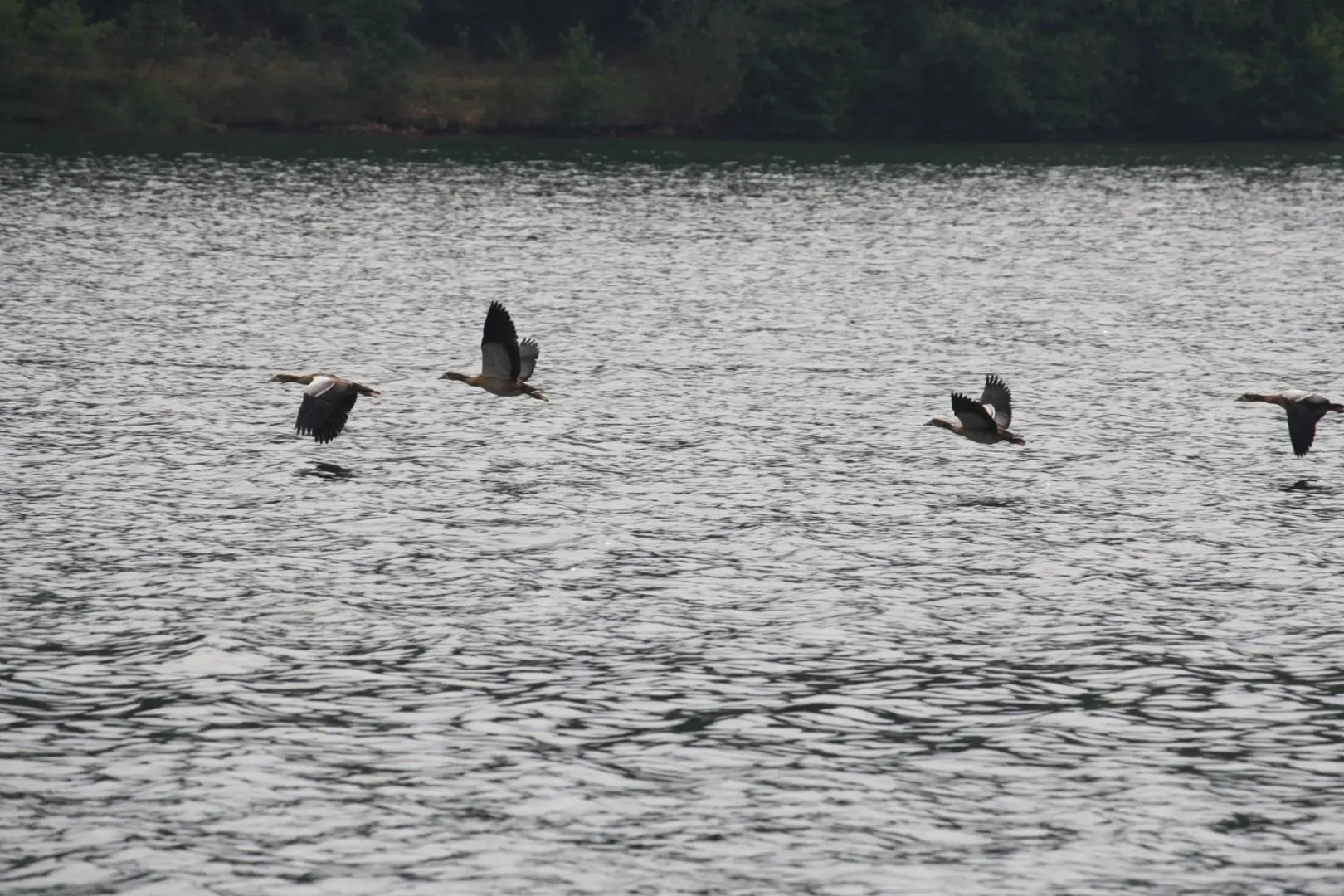 Bungalow; Haus 111 Ferienpark Twistesee, Bad Arolsen