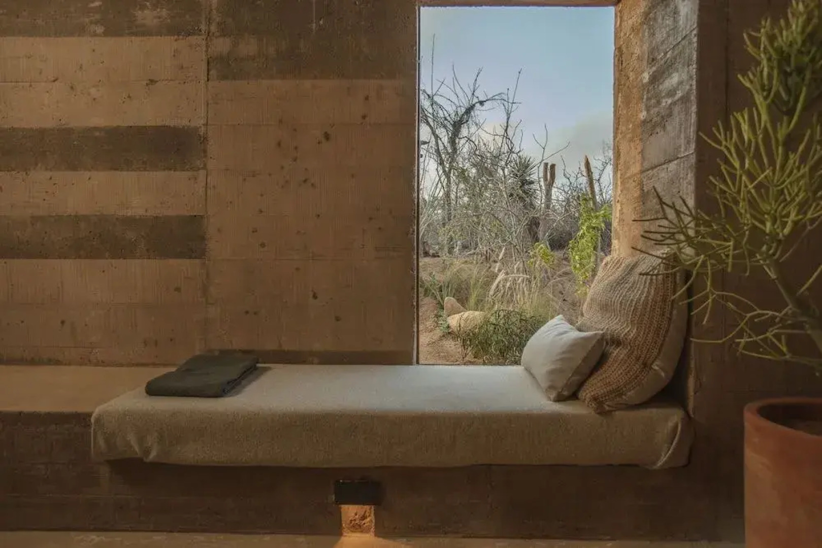 Paradero Todos Santos - Exclusive Experiences