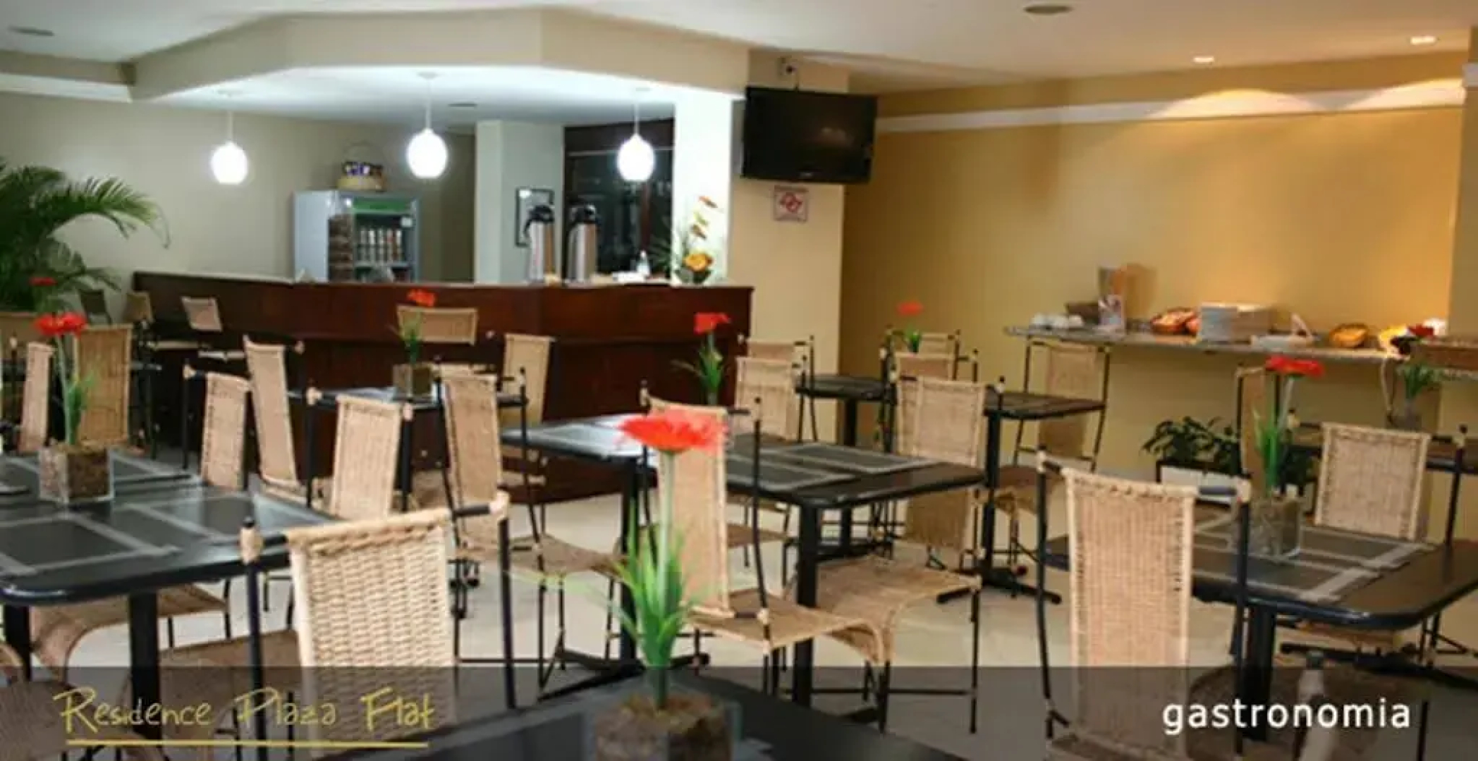 Residence Plaza Flat
