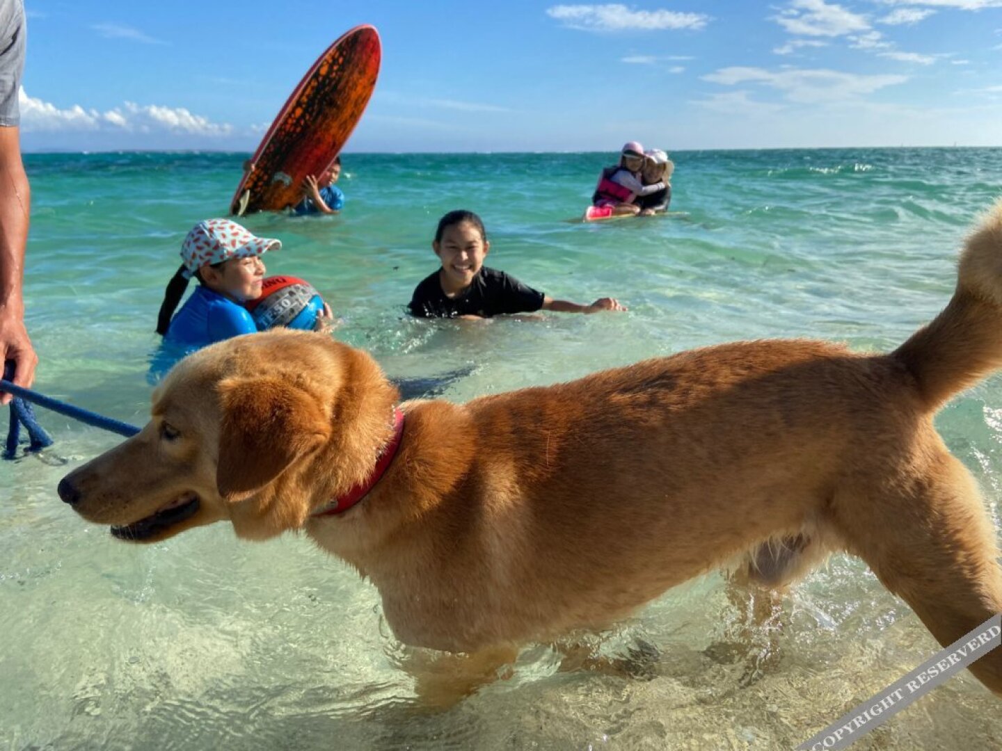 Marin House IE Island