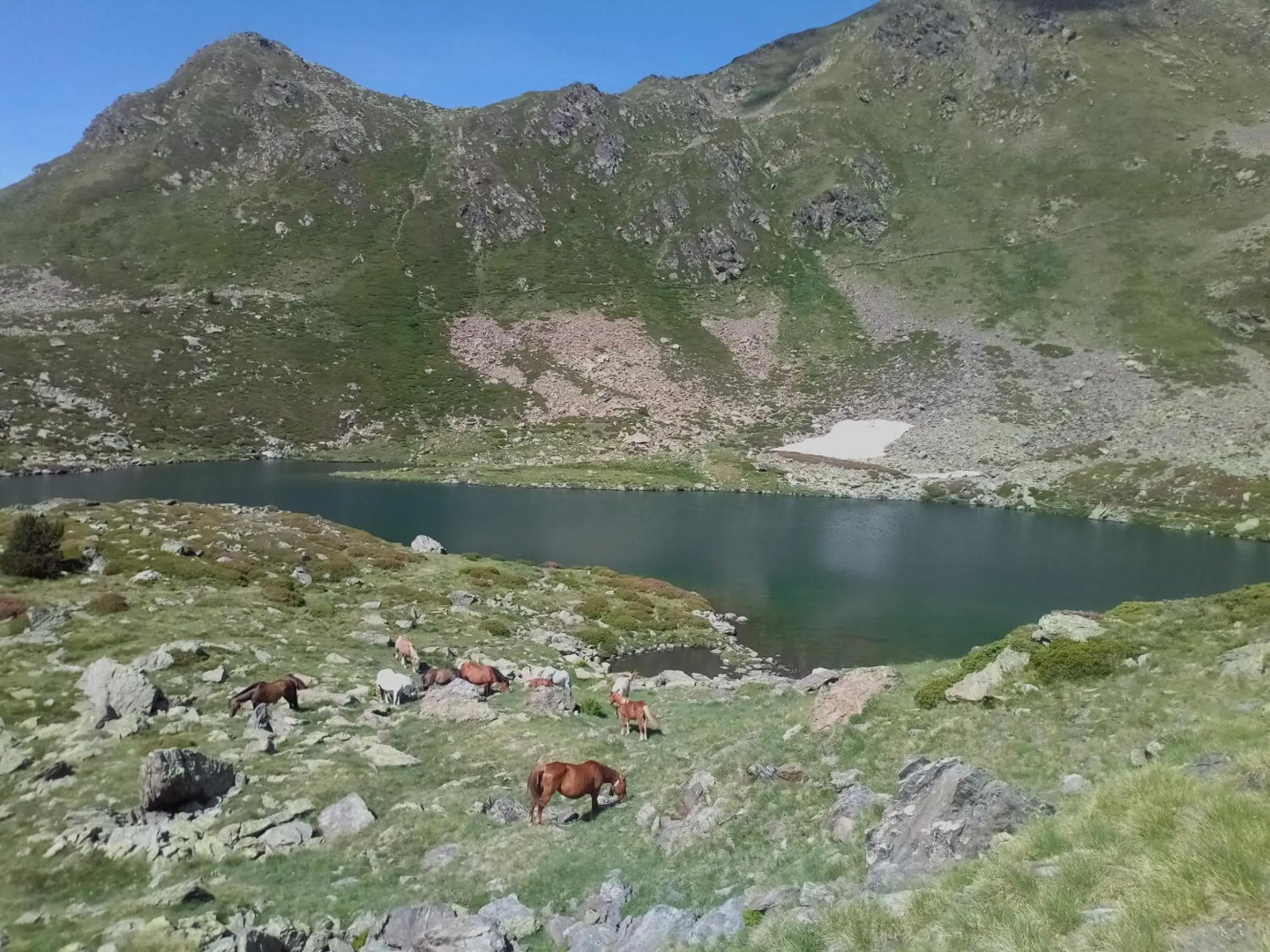 Apartment Gran Sol El Tarter